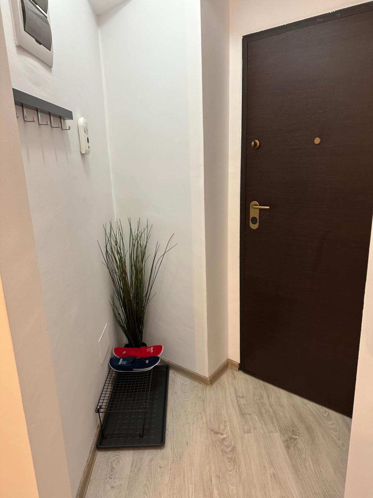 Central Studio Bucur Bukareszt Zewnętrze zdjęcie